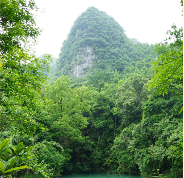 賞華夏大地，游多彩貴州-－2021年廣東博皓快樂(lè)行-2