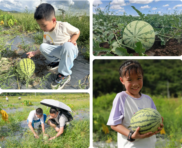 趣游盛夏，一路童行—2024年廣東博皓親子游   -12