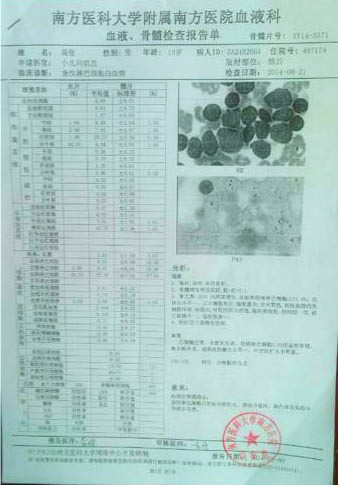 高俊的血液、骨髓檢查報告單